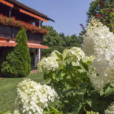 Hotel Alpina 4*