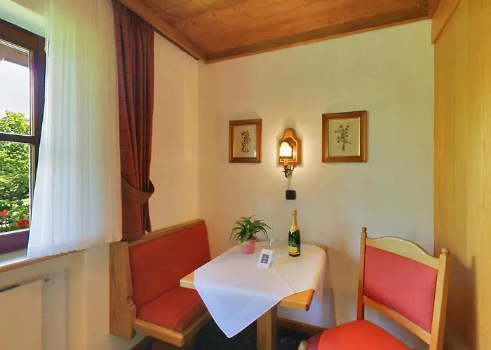 Hotel Alpina 4*